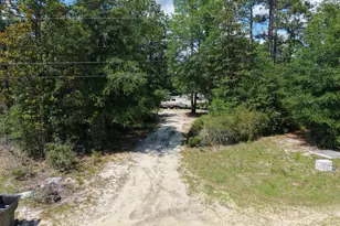 393 Kerry Davis Rd, Jesup, GA 31545 - Photo 1