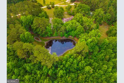 3869 Hiltonia-Perkins Road, Sylvania, GA 30467 - Photo 1