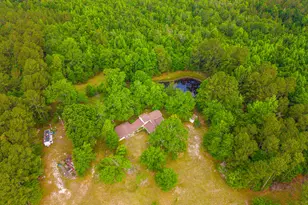 3869 Hiltonia-Perkins Rd, Sylvania, GA 30467 - Photo 7