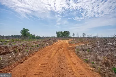 0 Gene Smith Road, Carlton, GA 30627 - Photo 7