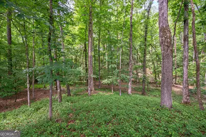 0 Gene Smith Road, Carlton, GA 30627 - Photo 19