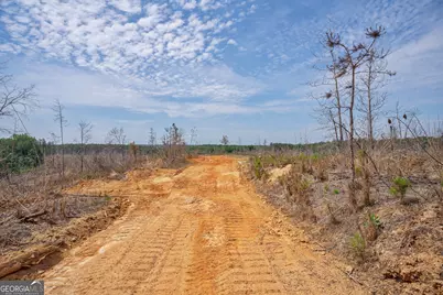 0 Gene Smith Road, Carlton, GA 30627 - Photo 9