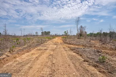 0 Gene Smith Road, Carlton, GA 30627 - Photo 21