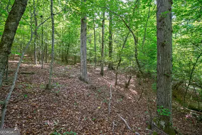0 Gene Smith Road, Carlton, GA 30627 - Photo 17