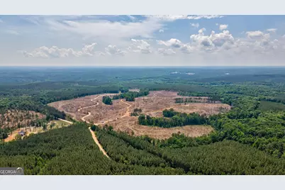 0 Gene Smith Road, Carlton, GA 30627 - Photo 27