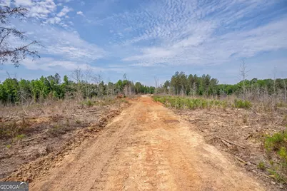 0 Gene Smith Road, Carlton, GA 30627 - Photo 11