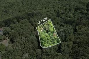 224 Dragon Tree Ln, Lakemont, GA 30552 - Photo 3