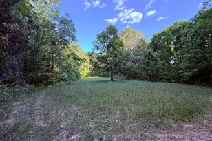 340 Adolphus-Callaway Rd, Rayle, GA 30660 - Photo 37