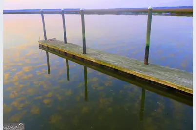 Lot 33 Coopers Point Drive, Townsend, GA 31331 - Photo 5