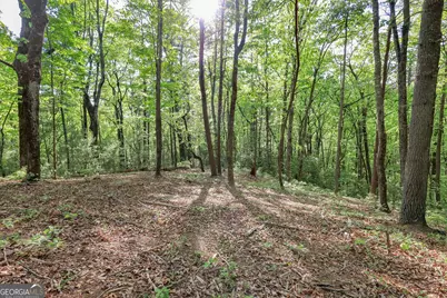 0 Amicalola Drive, Dawsonville, GA 30534 - Photo 3