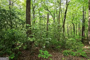 0 Amicalola Dr, Dawsonville, GA 30534 - Photo 1