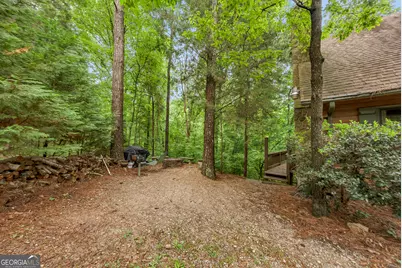 149 Mountain Springs Road, Warm Springs, GA 31830 - Photo 43
