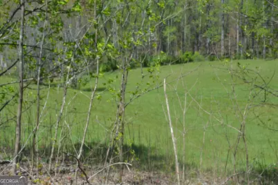 1404 Holly Point Road, Hiawassee, GA 30546 - Photo 13
