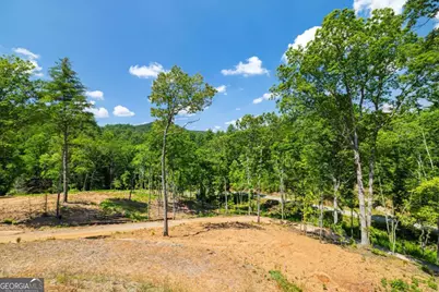 265 Park Glen Lane, Mineral Bluff, GA 30559 - Photo 37