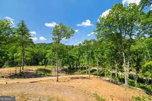 265 Park Glen Ln, Mineral Bluff, GA 30559 - Photo 37