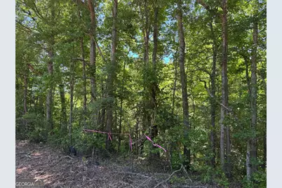 0 Whitesville Road, Lagrange, GA 30240 - Photo 13