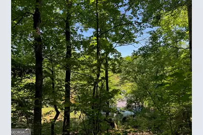 0 Whitesville Road, Lagrange, GA 30240 - Photo 11