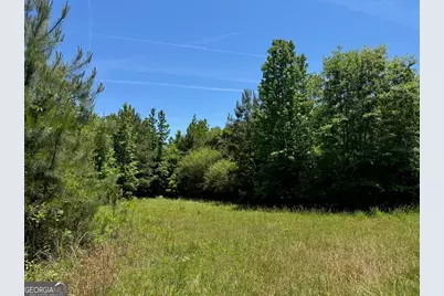0 Whitesville Road, Lagrange, GA 30240 - Photo 3