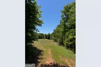 0 Whitesville Road, Lagrange, GA 30240 - Photo 5