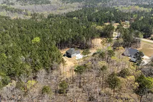 3921 Peeksville Rd, Locust Grove, GA 30248 - Photo 53