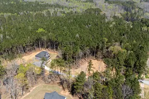 3921 Peeksville Rd, Locust Grove, GA 30248 - Photo 51