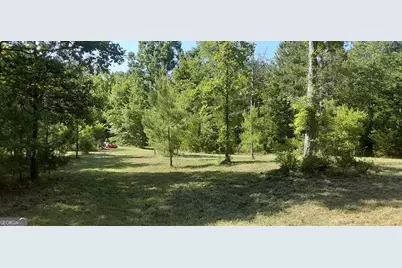 0 Delhi Road, Tignall, GA 30668 - Photo 3