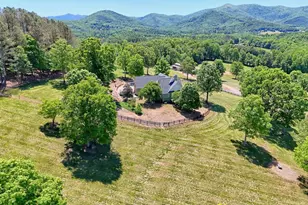 1193 Pine Log Rd, Warne, NC 28909 - Photo 61