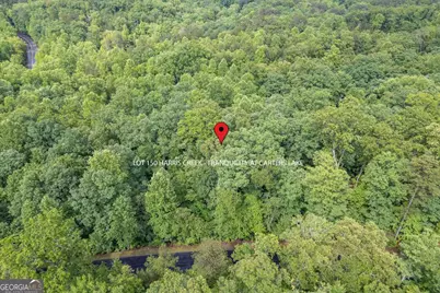 Lot 150 Tranquility @ Carters Lake, Ellijay, GA 30540 - Photo 21