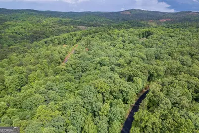 Lot 150 Tranquility @ Carters Lake, Ellijay, GA 30540 - Photo 23