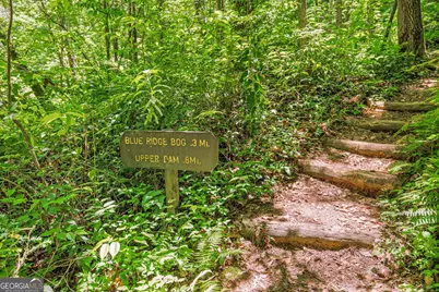 430 Grimes Nose, Sautee Nacoochee, GA 30571 - Photo 79