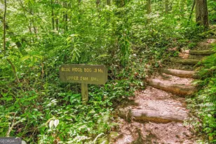 430 Grimes Nose, Sautee Nacoochee, GA 30571 - Photo 79