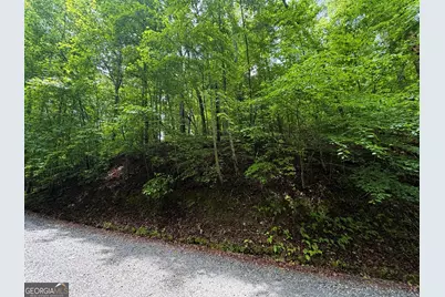 Lt 144 Alcan Way, Ellijay, GA 30540 - Photo 3