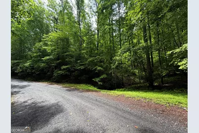 Lt 144 Alcan Way, Ellijay, GA 30540 - Photo 1