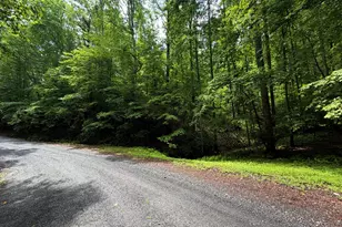 Lt 144 Alcan Way, Ellijay, GA 30540 - Photo 1