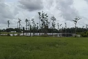 4090 Ezelle Rd, Valdosta, GA 31606 - Photo 29