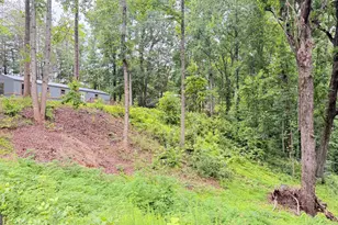 11 Iberian Rd, Dahlonega, GA 30533 - Photo 5