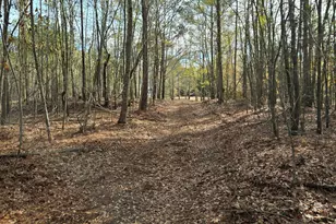 00 Yatesville R Yatesville Rd, Barnesville, GA 30204 - Photo 1
