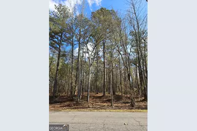 00 Yatesville R Yatesville Road, Barnesville, GA 30204 - Photo 3