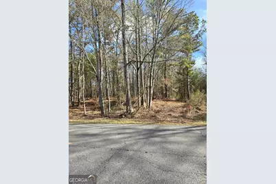 00 Yatesville R Yatesville Road, Barnesville, GA 30204 - Photo 3