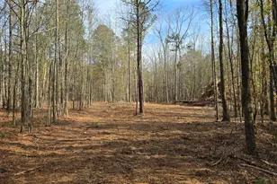 00 Yatesville R Yatesville Rd, Barnesville, GA 30204 - Photo 1