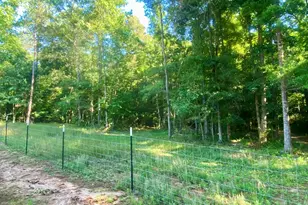 1250 Godfrey Rd, Madison, GA 30650 - Photo 41