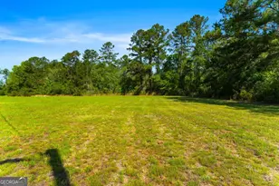 3383 Ml Br Clb Rd, Pembroke, GA 31321 - Photo 29