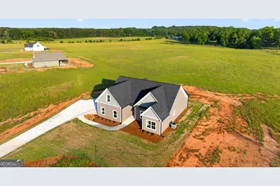 54 Melville Brown Road, Williamson, GA 30292 - Photo 47