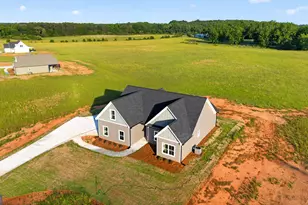 54 Melville Brown Rd, Williamson, GA 30292 - Photo 47