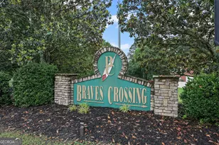 11 Braves Crossing Ct, Sharpsburg, GA 30277 - Photo 51