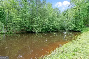 226 Waddell Rd, Bremen, GA 30110 - Photo 39