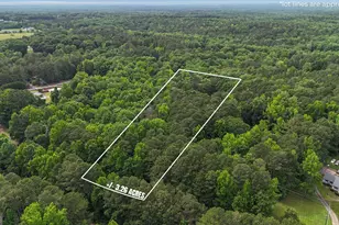 3638 Hwy 29 N, Newnan, GA 30265 - Photo 53