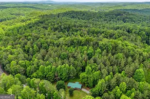 7741 Chatsworth Hwy, Ellijay, GA 30540 - Photo 43