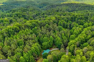 7741 Chatsworth Hwy, Ellijay, GA 30540 - Photo 41