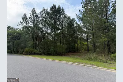 1.12 Big Horse Drive, Waynesville, GA 31566 - Photo 3